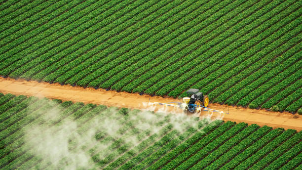 Best Commercial Pest Control Services  in St Regis Park, KY